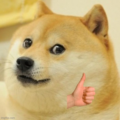 Doge Meme | image tagged in memes,doge | made w/ Imgflip meme maker