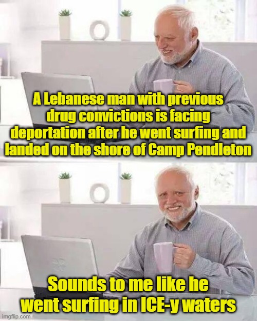You're harshing my mellow, man... | A Lebanese man with previous drug convictions is facing deportation after he went surfing and landed on the shore of Camp Pendleton; Sounds to me like he went surfing in ICE-y waters | image tagged in memes,surfing,ice,immigration | made w/ Imgflip meme maker