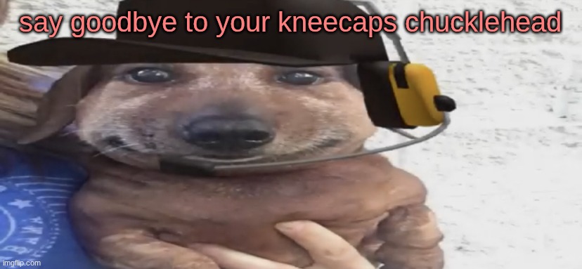 theft | say goodbye to your kneecaps chucklehead | image tagged in chucklenuts | made w/ Imgflip meme maker