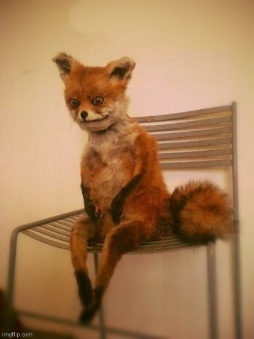 Exhausted fox | image tagged in exhausted fox | made w/ Imgflip meme maker