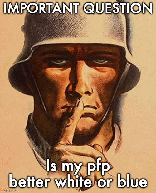 Save Europe Guy Shushing | IMPORTANT QUESTION; Is my pfp better white or blue | image tagged in save europe guy shushing | made w/ Imgflip meme maker