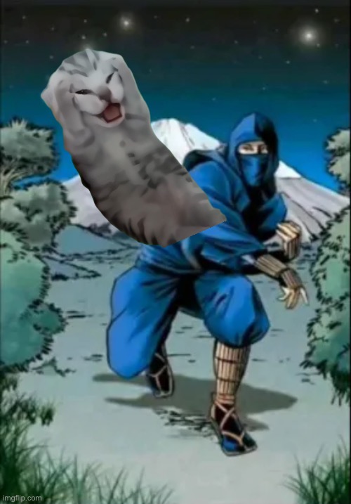 . | image tagged in ninja throwing blank | made w/ Imgflip meme maker