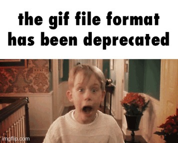 image tagged in gifs | made w/ Imgflip meme maker