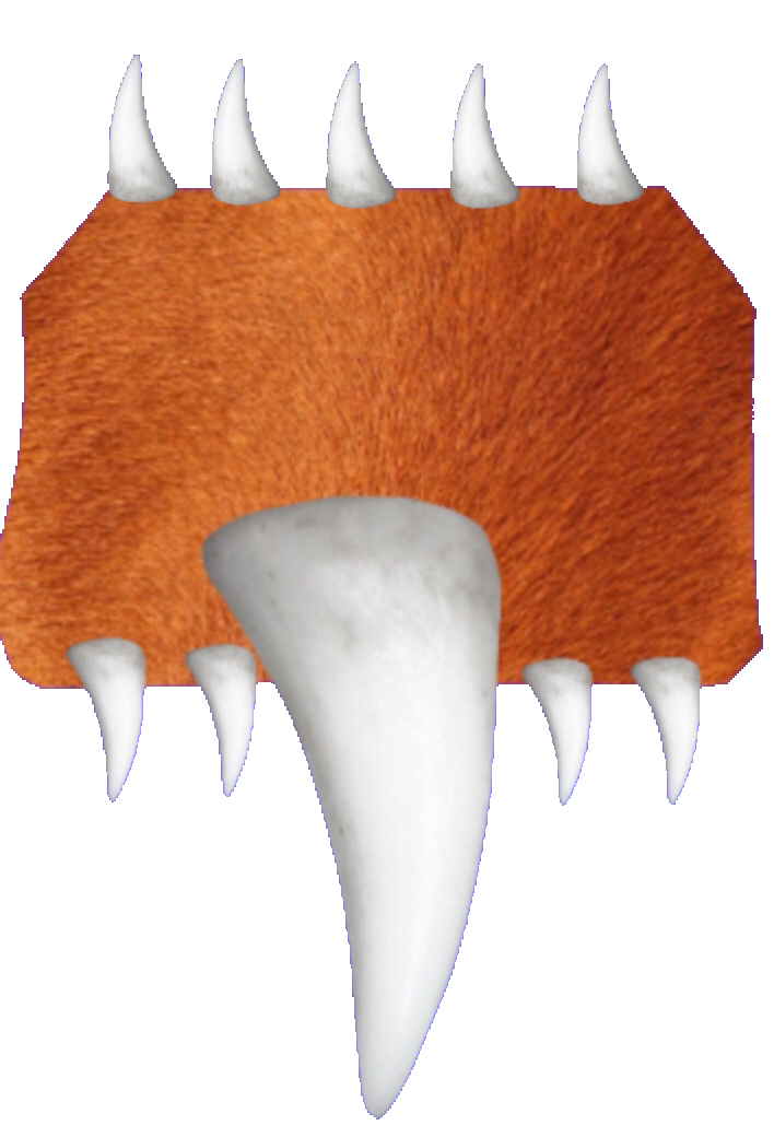 Infected horse legs Blank Meme Template