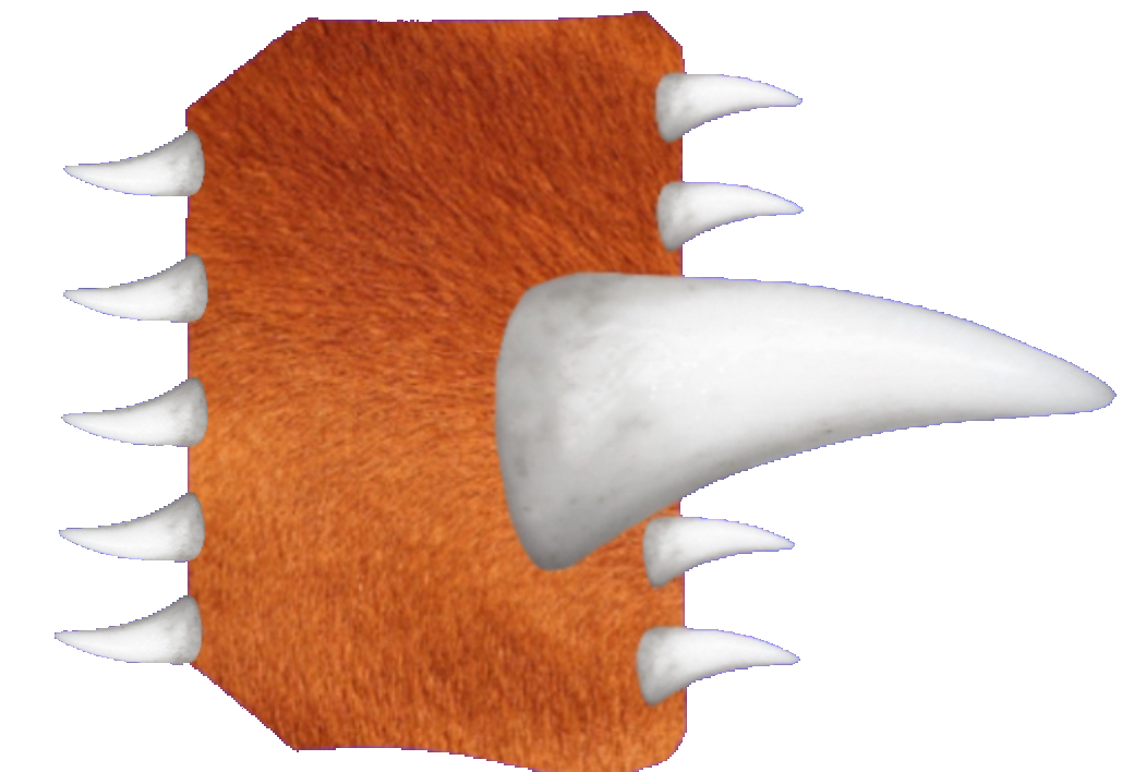 Infected horses Blank Meme Template