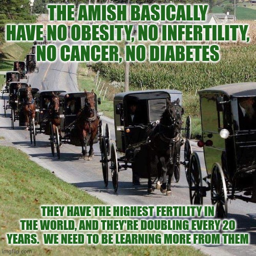 The Amish basically have no obesity, no infertility, no cancer, no diabetes... | THE AMISH BASICALLY HAVE NO OBESITY, NO INFERTILITY, NO CANCER, NO DIABETES; THEY HAVE THE HIGHEST FERTILITY IN THE WORLD, AND THEY'RE DOUBLING EVERY 20 YEARS.  WE NEED TO BE LEARNING MORE FROM THEM | image tagged in pa amish,healthy lifestyle,fitness,healthy diet,spirituality,reject modernity embrace tradition | made w/ Imgflip meme maker
