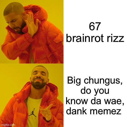 I genuinely felt pain making this image | 67 brainrot rizz; Big chungus, do you know da wae, dank memez | image tagged in memes,drake hotline bling | made w/ Imgflip meme maker