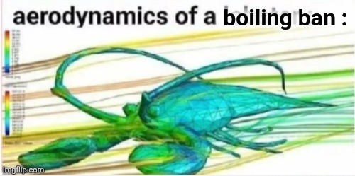 UK 2022 Sentience Act | boiling ban : | image tagged in aerodynamics of a lobster,the boiler room of hell,lobster thermidor | made w/ Imgflip meme maker