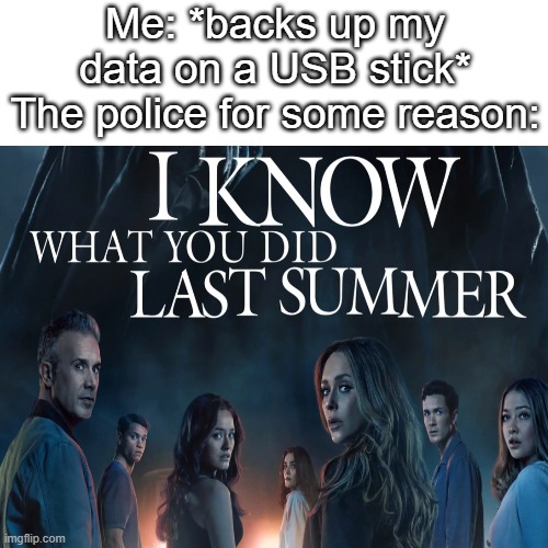 Anyone else find this relatable, or just me? | Me: *backs up my data on a USB stick*
The police for some reason: | image tagged in memes,funny,lol,police,i know what you did last summer,relatable memes | made w/ Imgflip meme maker