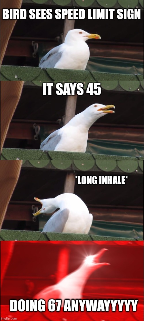 me in the future | BIRD SEES SPEED LIMIT SIGN; IT SAYS 45; *LONG INHALE*; DOING 67 ANYWAYYYYY | image tagged in memes,inhaling seagull | made w/ Imgflip meme maker