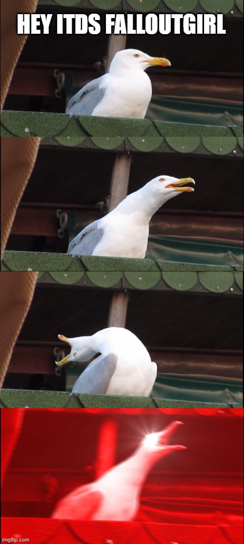 Inhaling Seagull | HEY ITDS FALLOUTGIRL | image tagged in memes,inhaling seagull | made w/ Imgflip meme maker