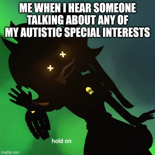 I will remake for bookworm stream parity | ME WHEN I HEAR SOMEONE TALKING ABOUT ANY OF MY AUTISTIC SPECIAL INTERESTS | image tagged in hold on cyn | made w/ Imgflip meme maker
