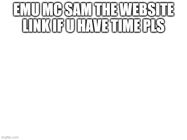 EMU MC SAM THE WEBSITE LINK IF U HAVE TIME PLS | made w/ Imgflip meme maker