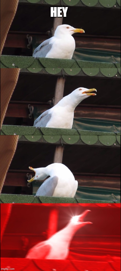 Inhaling Seagull | HEY | image tagged in memes,inhaling seagull | made w/ Imgflip meme maker