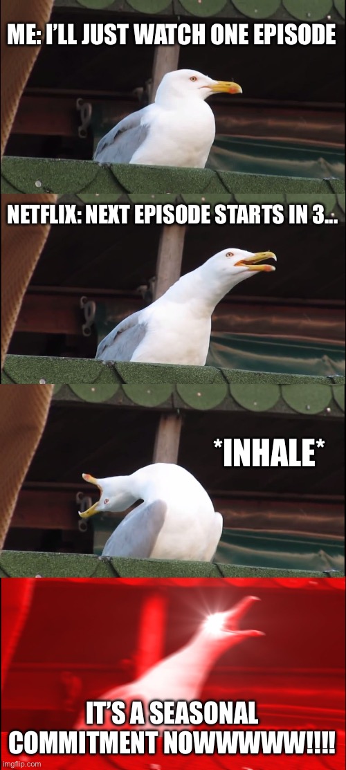 ME: I’LL JUST WATCH ONE EPISODE; NETFLIX: NEXT EPISODE STARTS IN 3... *INHALE*; IT’S A SEASONAL COMMITMENT NOWWWWW!!!! | ME: I’LL JUST WATCH ONE EPISODE; NETFLIX: NEXT EPISODE STARTS IN 3... *INHALE*; IT’S A SEASONAL COMMITMENT NOWWWWW!!!! | image tagged in memes,inhaling seagull,netflix and chill,netflix,scumbag netflix,television series | made w/ Imgflip meme maker