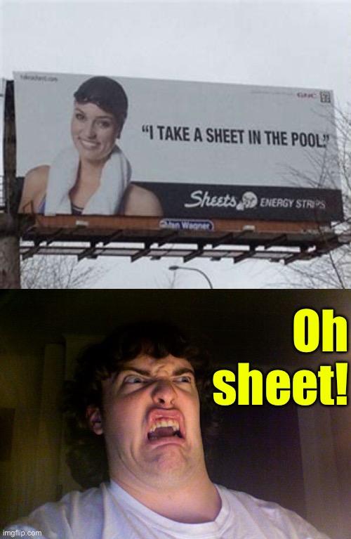 Oh Sheet | Oh sheet! | image tagged in signs/billboards,task failed successfully,funny signs,wordplay,pooping,oh no | made w/ Imgflip meme maker