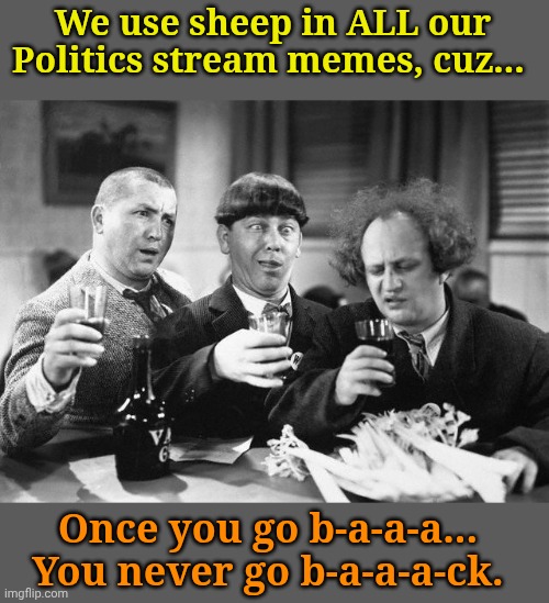 I hope they're using sheep intestines. | We use sheep in ALL our Politics stream memes, cuz... Once you go b-a-a-a... 
You never go b-a-a-a-ck. | image tagged in 3 stooges drink | made w/ Imgflip meme maker