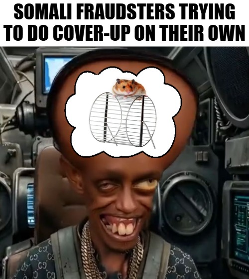 SOMALI FRAUDSTERS TRYING TO DO COVER-UP ON THEIR OWN | image tagged in fraud,american politics,funny | made w/ Imgflip meme maker