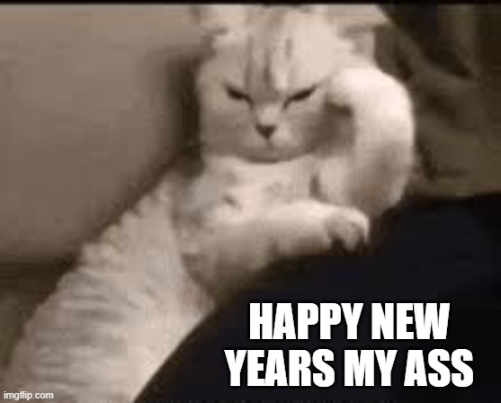 Cat says "Happy New Year my ass".    --  funny  -- | HAPPY NEW YEARS MY ASS | image tagged in cat,kittens,humor,funny,happy new year,grumpy cat | made w/ Imgflip meme maker