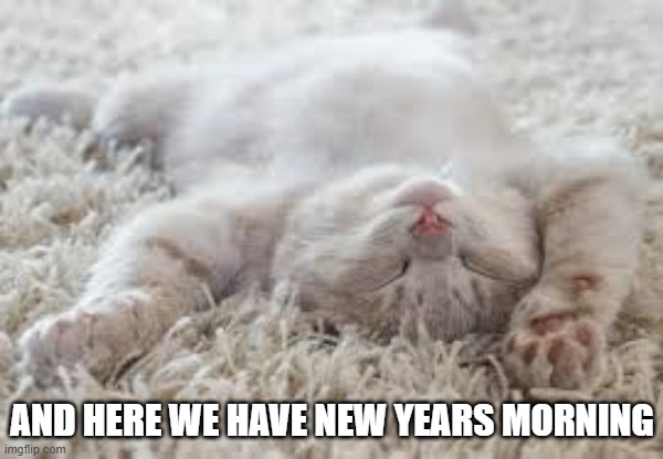 Here's your typical cat on New Years morning.   --  funny  -- | AND HERE WE HAVE NEW YEARS MORNING | image tagged in cat,kittens,humor,funny,happy new year,new years | made w/ Imgflip meme maker