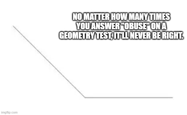 Never answer a geometry question with the answer "obtuse". It can never be right. | NO MATTER HOW MANY TIMES YOU ANSWER "OBUSE" ON A GEOMETRY TEST, IT'LL NEVER BE RIGHT. | image tagged in funny,humor,geometry,math,funny meme | made w/ Imgflip meme maker