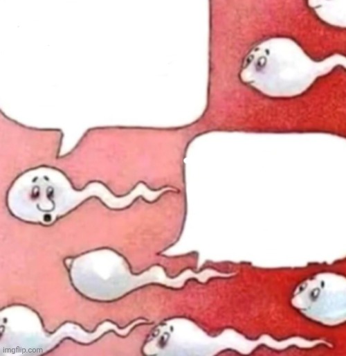 Sperm conversation | image tagged in sperm conversation | made w/ Imgflip meme maker