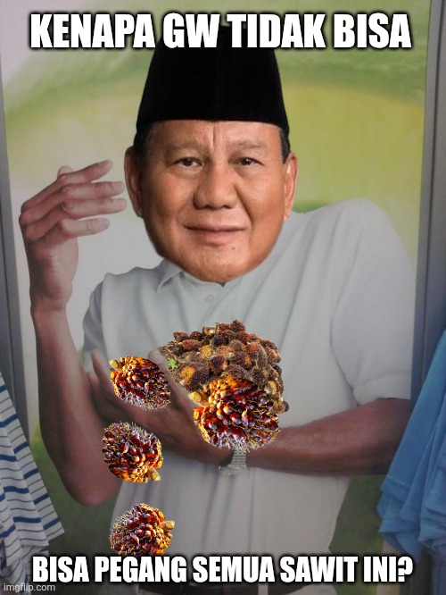 Why Can't I Hold All These Limes Meme | KENAPA GW TIDAK BISA; BISA PEGANG SEMUA SAWIT INI? | image tagged in memes,president,hell | made w/ Imgflip meme maker
