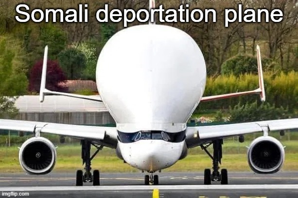 Couldn't help myself... | Somali deportation plane | image tagged in somali,deportation,airplane | made w/ Imgflip meme maker
