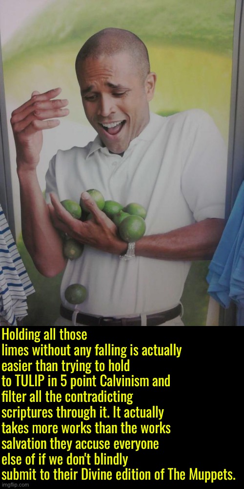 Easier than filtering TULIP contradictions | Holding all those limes without any falling is actually easier than trying to hold to TULIP in 5 point Calvinism and filter all the contradicting scriptures through it. It actually takes more works than the works salvation they accuse everyone else of if we don't blindly submit to their Divine edition of The Muppets. | image tagged in why can't i hold all these limes,calvinism,calvinist memes,anti calvinism,reformed theology,the muppets | made w/ Imgflip meme maker