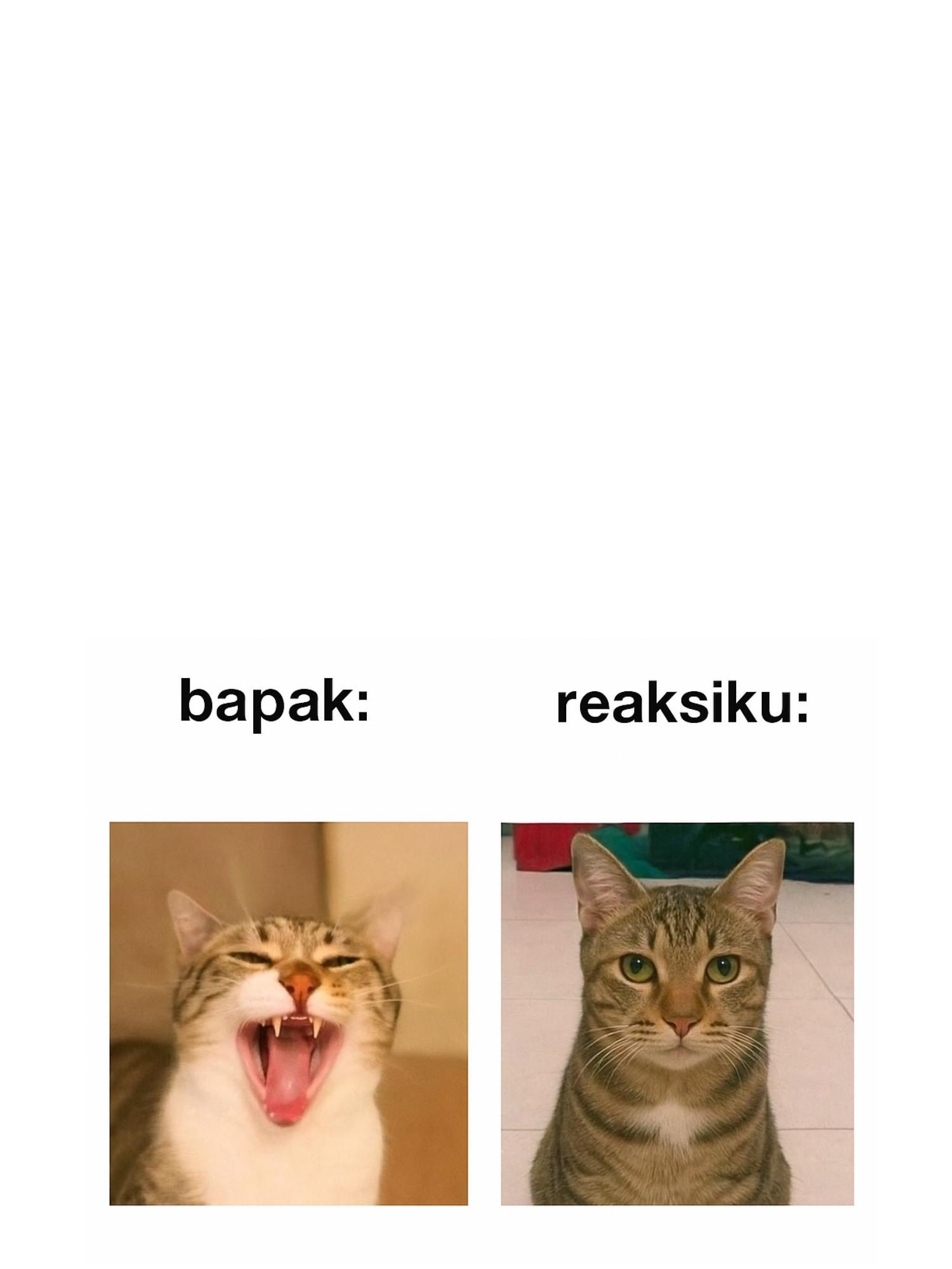 Bapak reaksiku Blank Meme Template