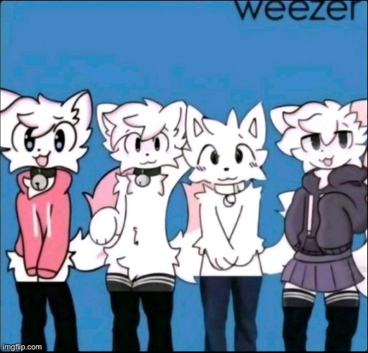 Boykisser weezer | image tagged in boykisser weezer | made w/ Imgflip meme maker