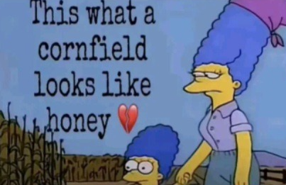 this is what a cornfield looks like honey ? Blank Meme Template