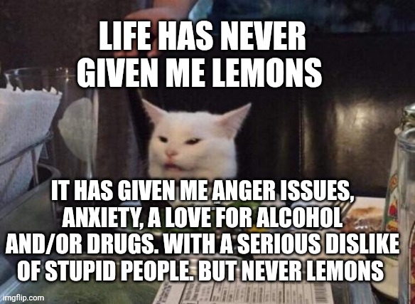 Smudge that darn cat | LIFE HAS NEVER GIVEN ME LEMONS; IT HAS GIVEN ME ANGER ISSUES, ANXIETY, A LOVE FOR ALCOHOL AND/OR DRUGS. WITH A SERIOUS DISLIKE OF STUPID PEOPLE. BUT NEVER LEMONS | image tagged in smudge that darn cat | made w/ Imgflip meme maker