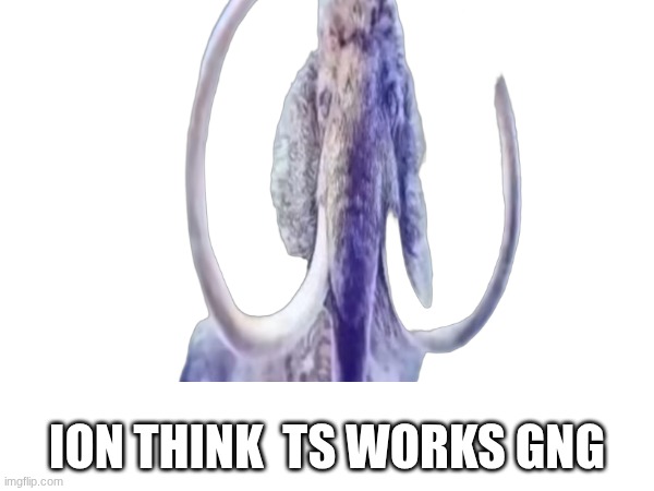 ION THINK  TS WORKS GNG | made w/ Imgflip meme maker