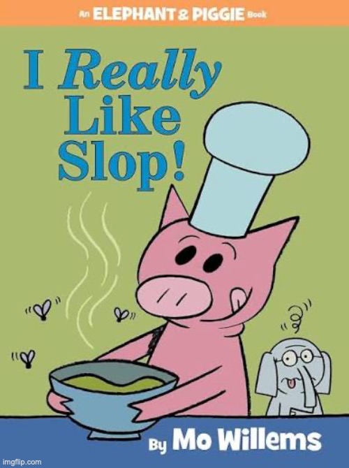 New reaction image just dropped | image tagged in i really like slop | made w/ Imgflip meme maker