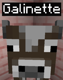 Galinette Blank Meme Template