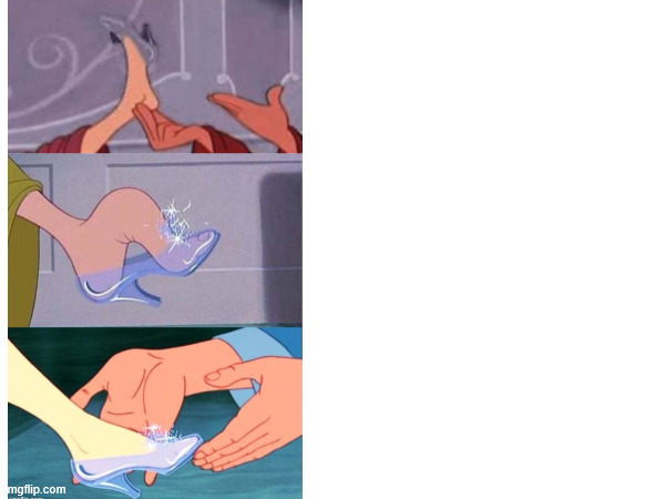 cinderella shoe Blank Meme Template