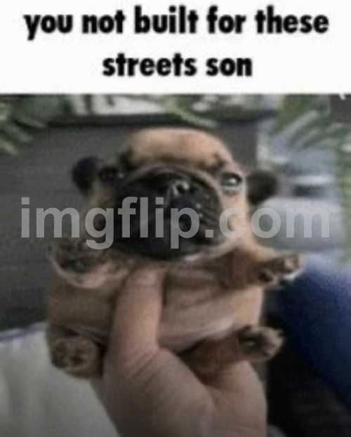 funny watermark | made w/ Imgflip meme maker