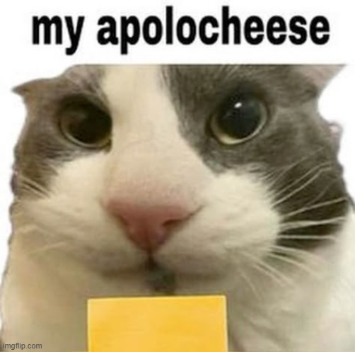 my apolocheese | image tagged in my apolocheese | made w/ Imgflip meme maker