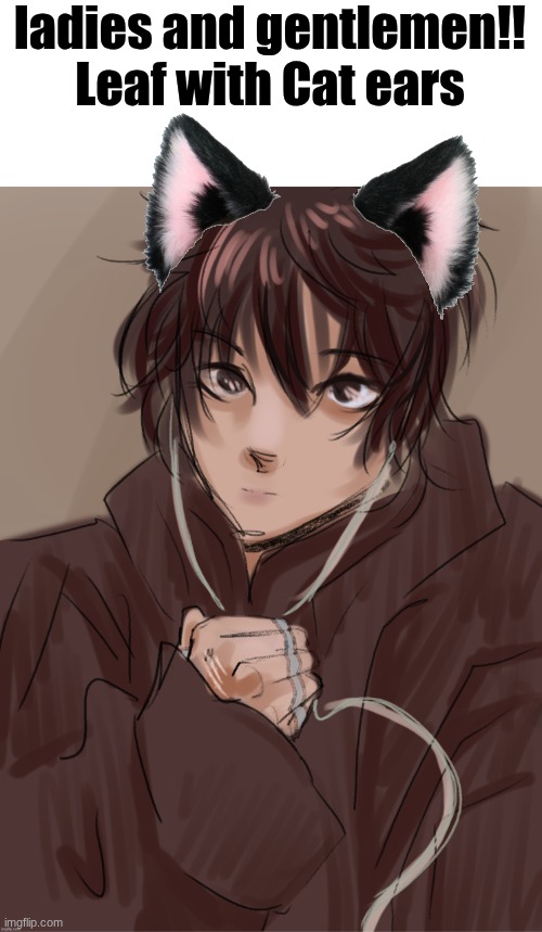 Beautiful (Now I think about it he does look like a cat) | ladies and gentlemen!!

Leaf with Cat ears | image tagged in anormal_leaf's oc | made w/ Imgflip meme maker