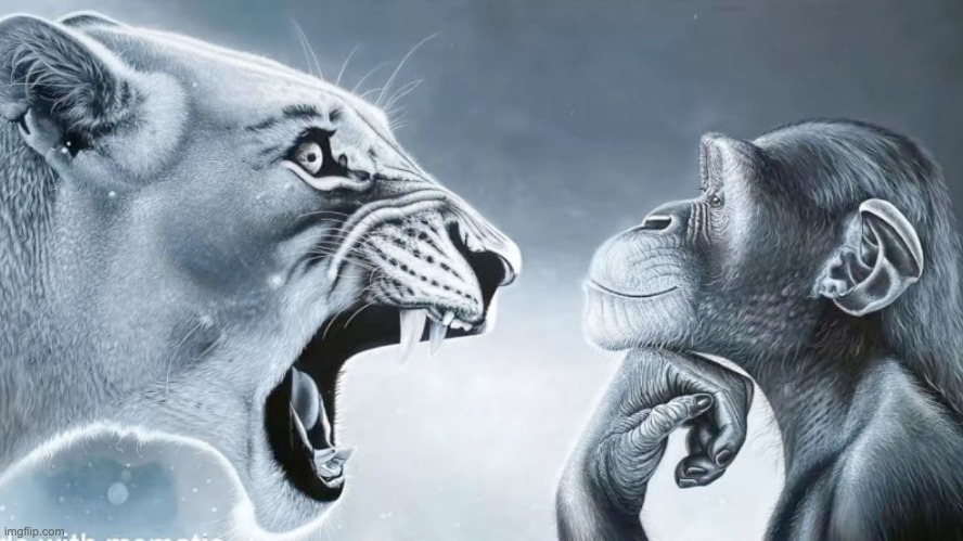 Angry Lion vs Chill Monkey | image tagged in angry lion vs chill monkey | made w/ Imgflip meme maker