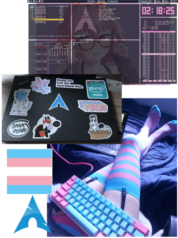 linux/programmer socks Blank Meme Template