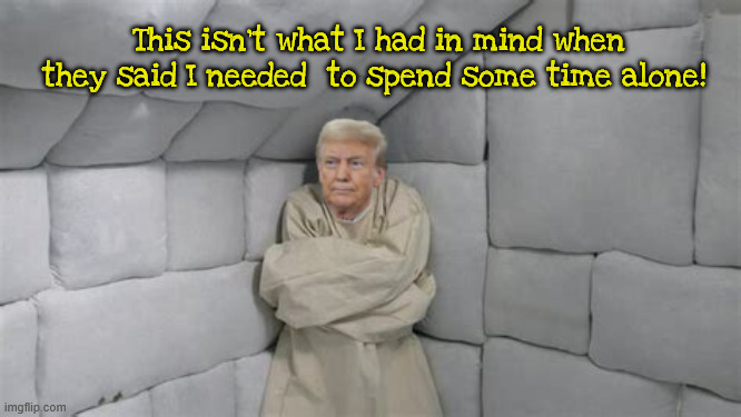 Donald spending time alone | This isn't what I had in mind when they said I needed  to spend some time alone! | image tagged in donald spending time alone,rubber room,fruitcake,gone bananans,notjob,insane old coot | made w/ Imgflip meme maker