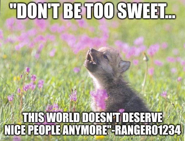 Baby Insanity Wolf Meme | "DON'T BE TOO SWEET... THIS WORLD DOESN'T DESERVE NICE PEOPLE ANYMORE"-RANGER01234 | image tagged in memes,baby insanity wolf | made w/ Imgflip meme maker