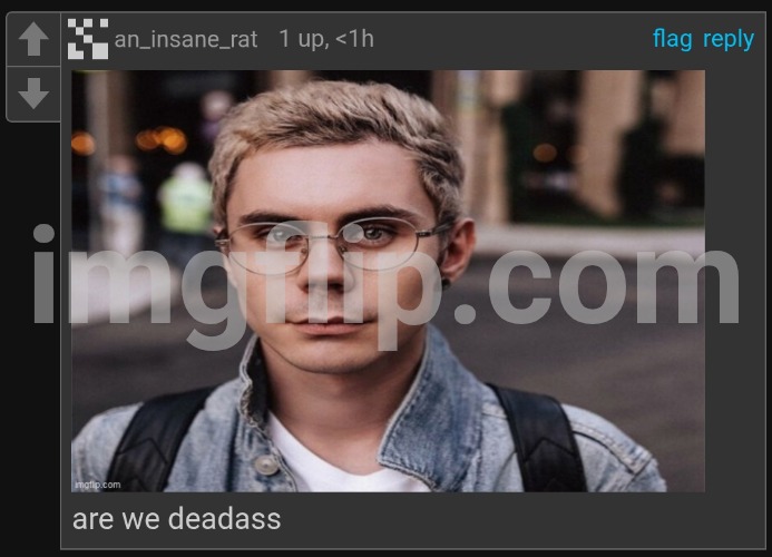 street_rat - Are we deadass | image tagged in street_rat - are we deadass | made w/ Imgflip meme maker