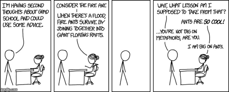image tagged in grad,school,grad school,fire,ants,fire ants | made w/ Imgflip meme maker