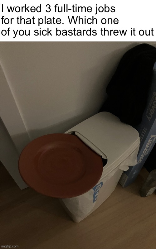 I worked 3 full-time jobs for that plate. Which one of you sick bastards threw it out | made w/ Imgflip meme maker
