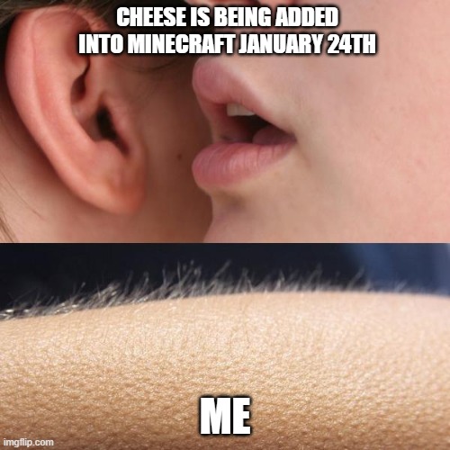 all i want in 2026 | CHEESE IS BEING ADDED INTO MINECRAFT JANUARY 24TH; ME | image tagged in whisper and goosebumps | made w/ Imgflip meme maker