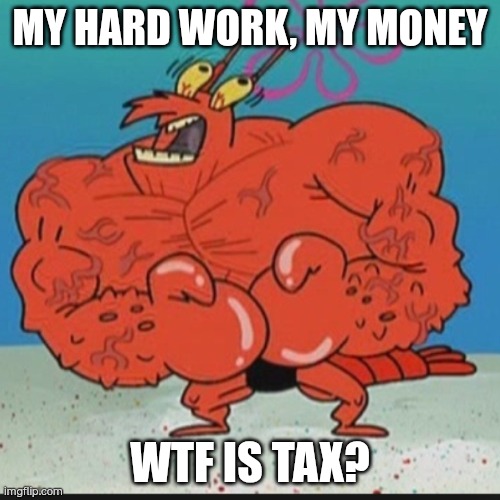 larry lobster | MY HARD WORK, MY MONEY; WTF IS TAX? | image tagged in larry lobster | made w/ Imgflip meme maker