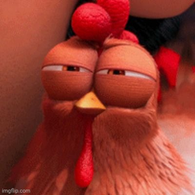 disapproving chicken despicable me 2 | image tagged in disapproving chicken despicable me 2 | made w/ Imgflip meme maker